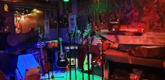 Bluescafe muziekcafe duke maastricht limburg 1