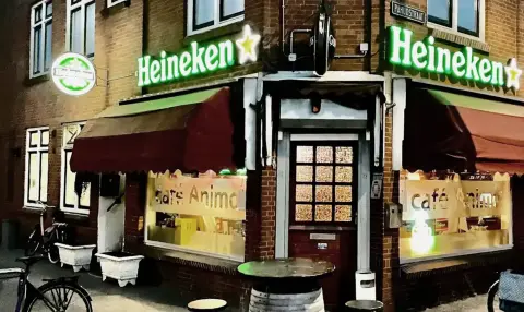 Cafe animo den haag pand